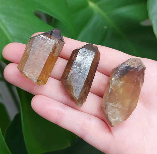 Natural Citrine Raw Point