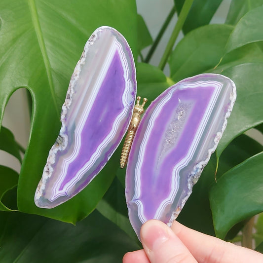 Purple Agate Butterfly (dyed)