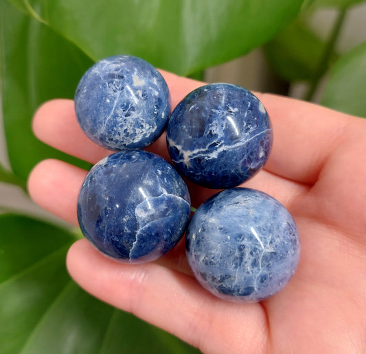 Sodalite Mini Sphere