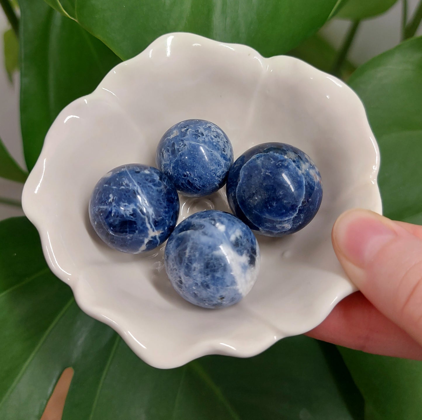 Sodalite Mini Sphere