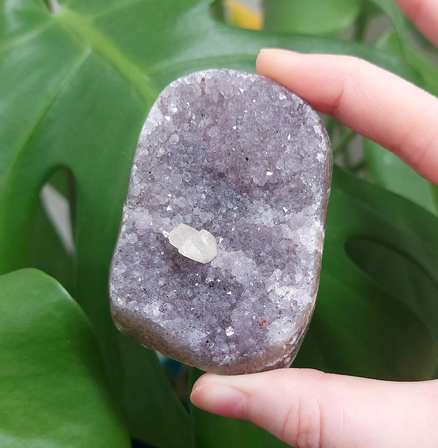 Rainbow Sugar Amethyst Cutbase - Lilac