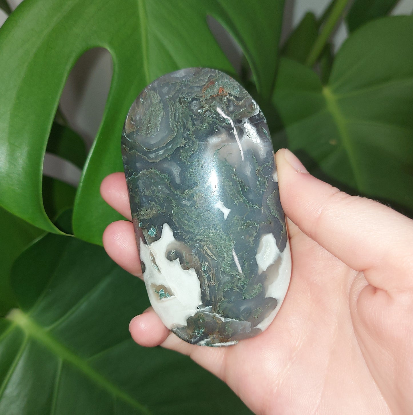 Moss Agate Palm Stone