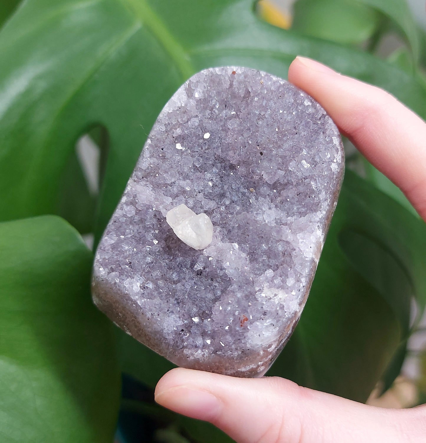 Rainbow Sugar Amethyst Cutbase - Lilac