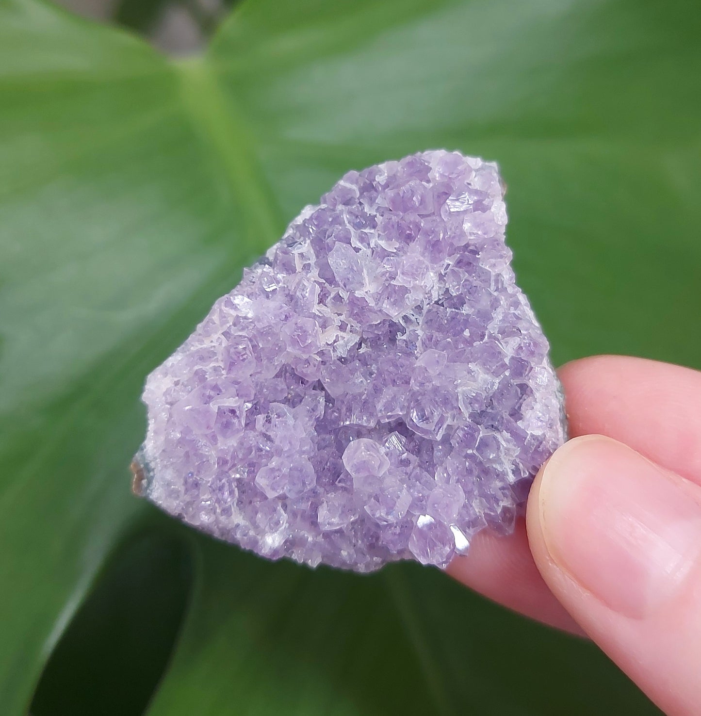 Amethyst Mini Cluster