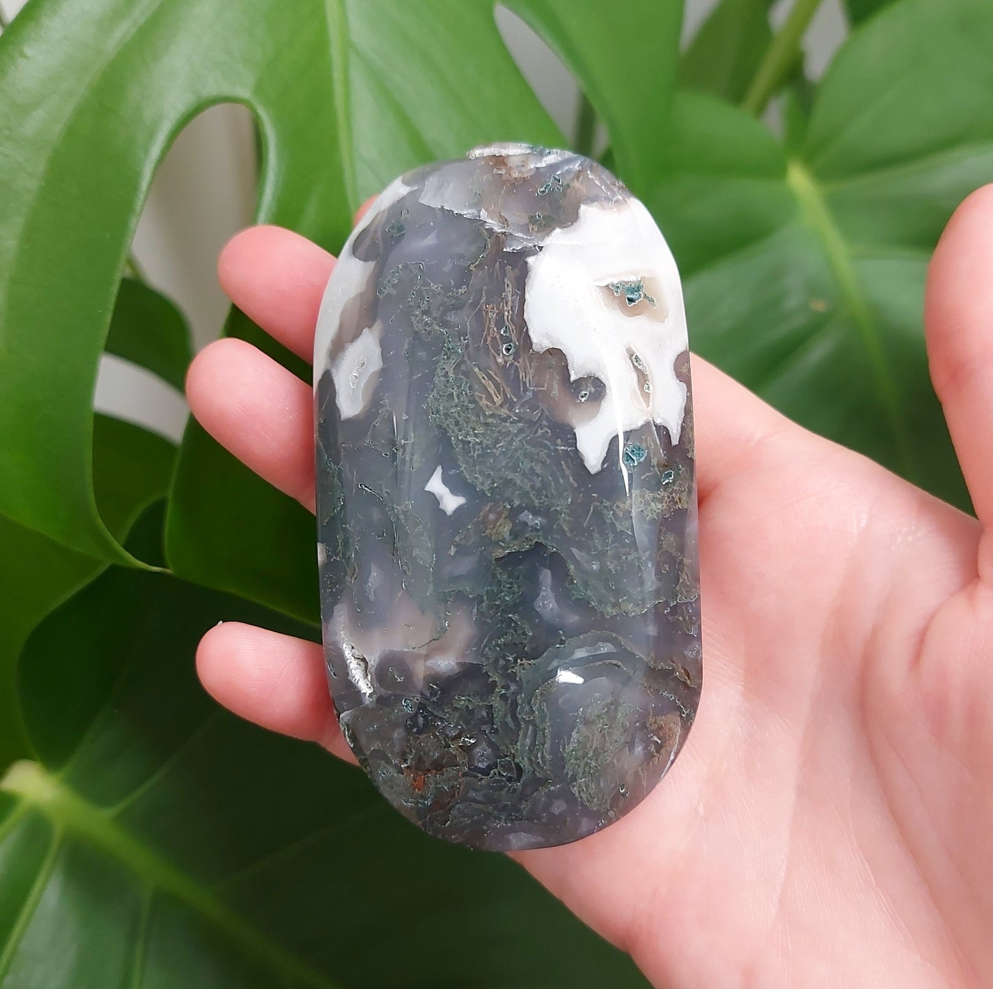 Moss Agate Palm Stone