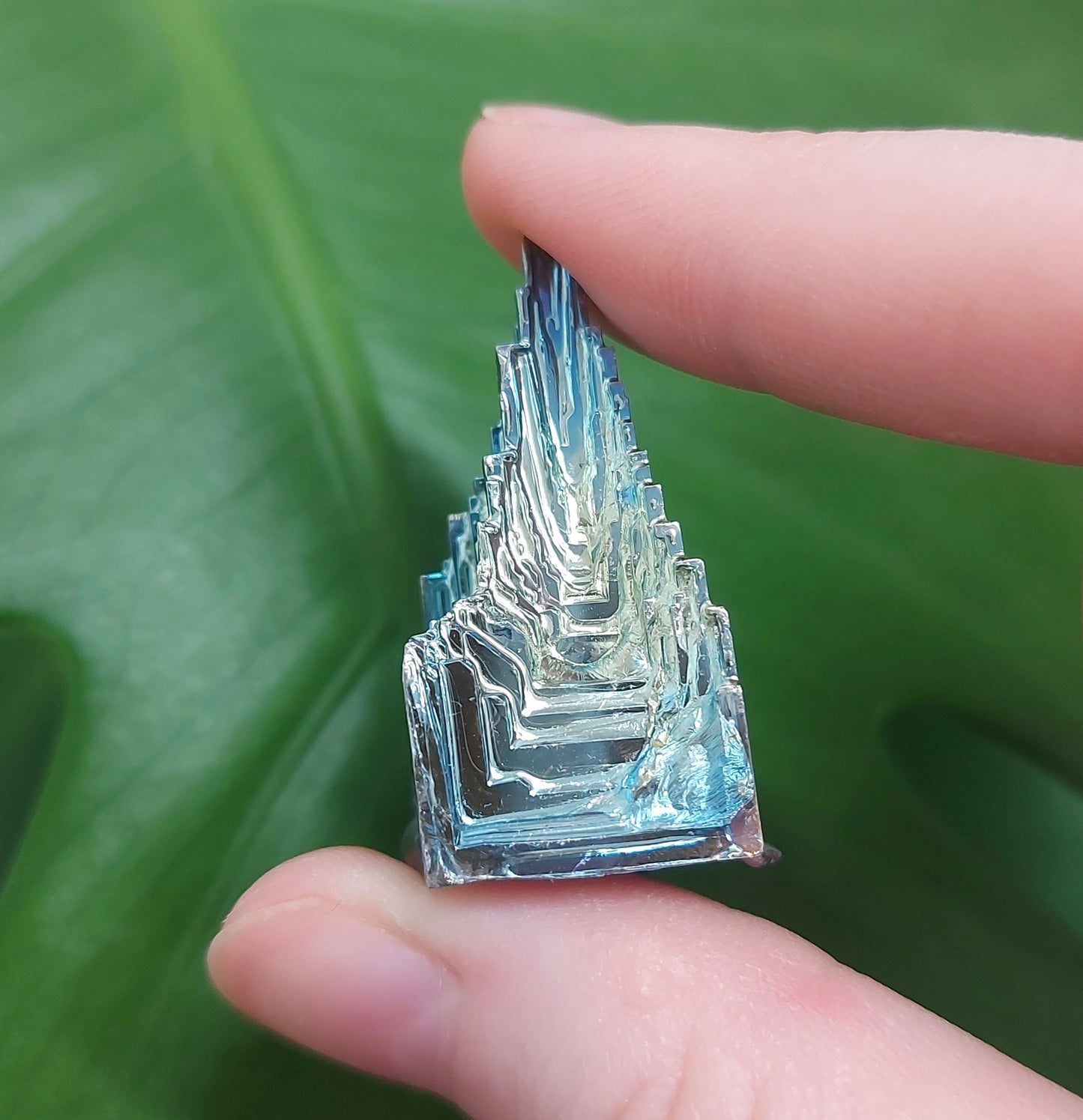 Bismuth