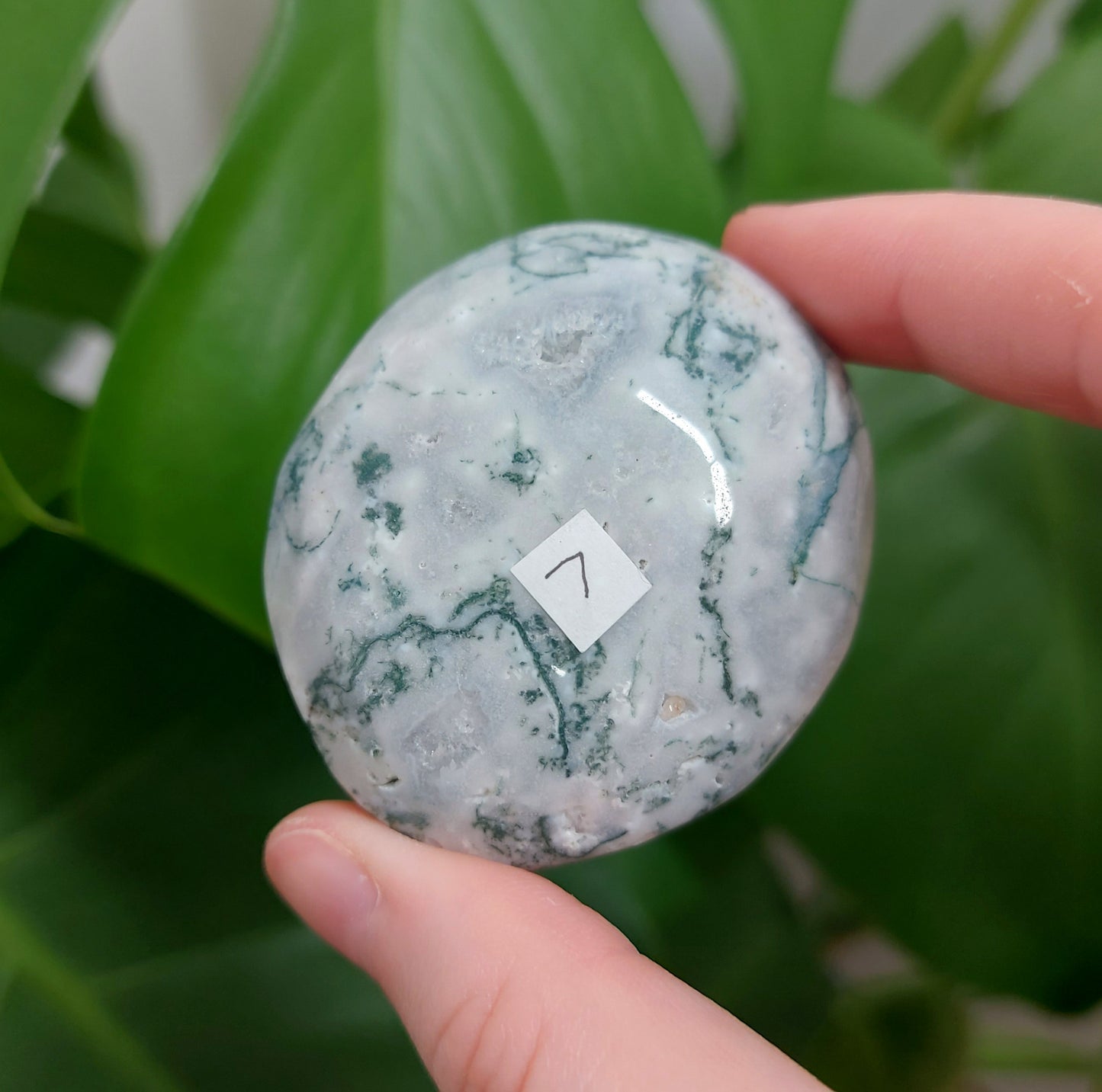 Moss Agate Palm Stone