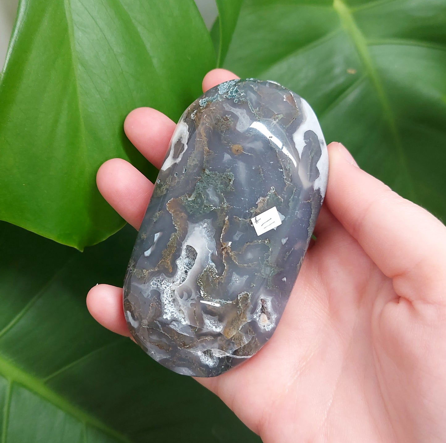 Moss Agate Palm Stone