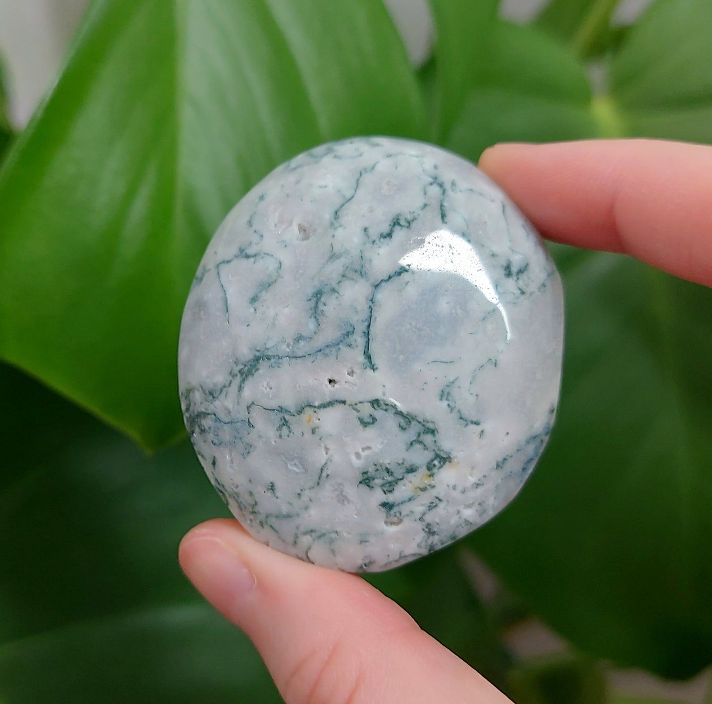 Moss Agate Palm Stone