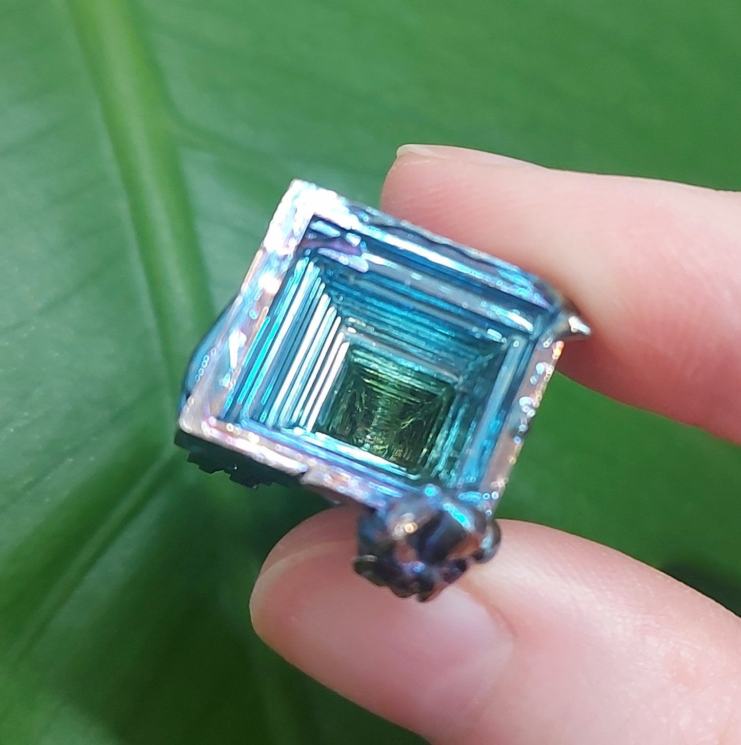 Bismuth