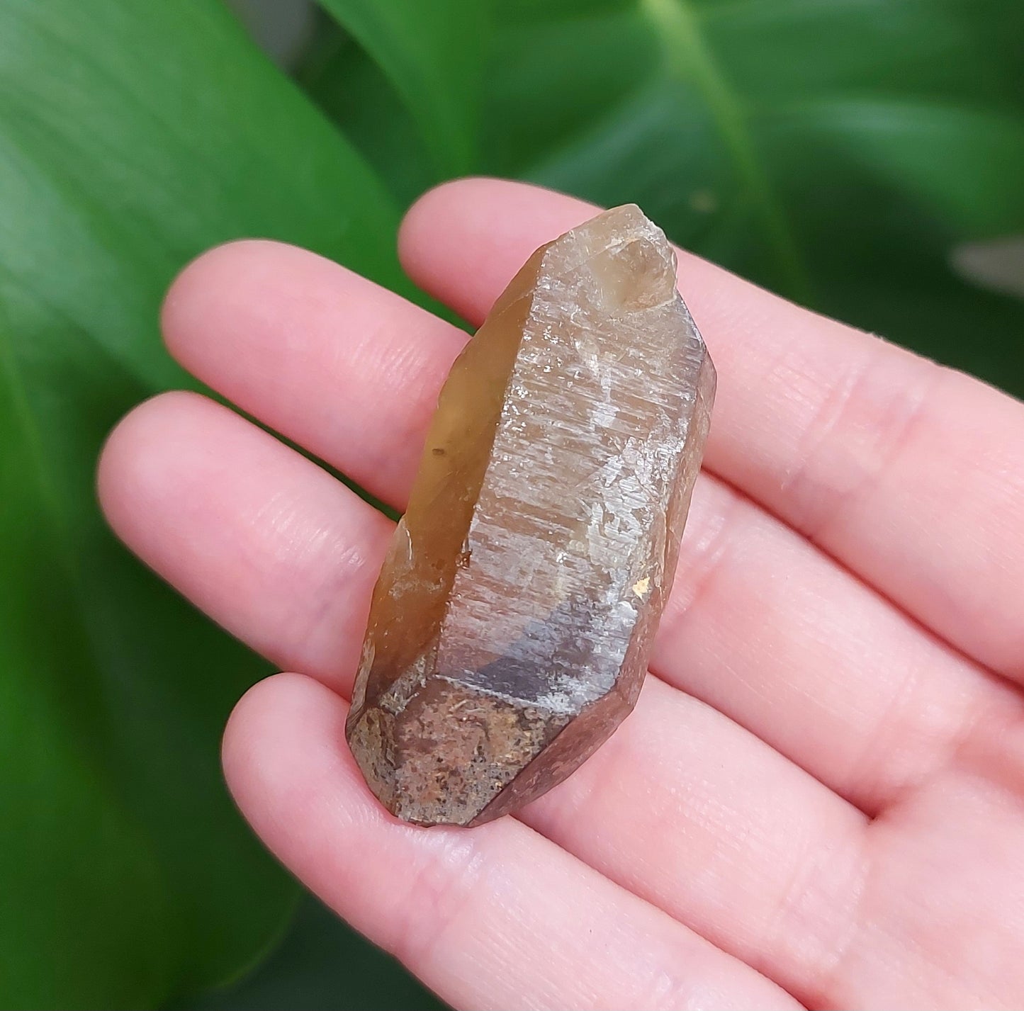 Citrine Raw Point