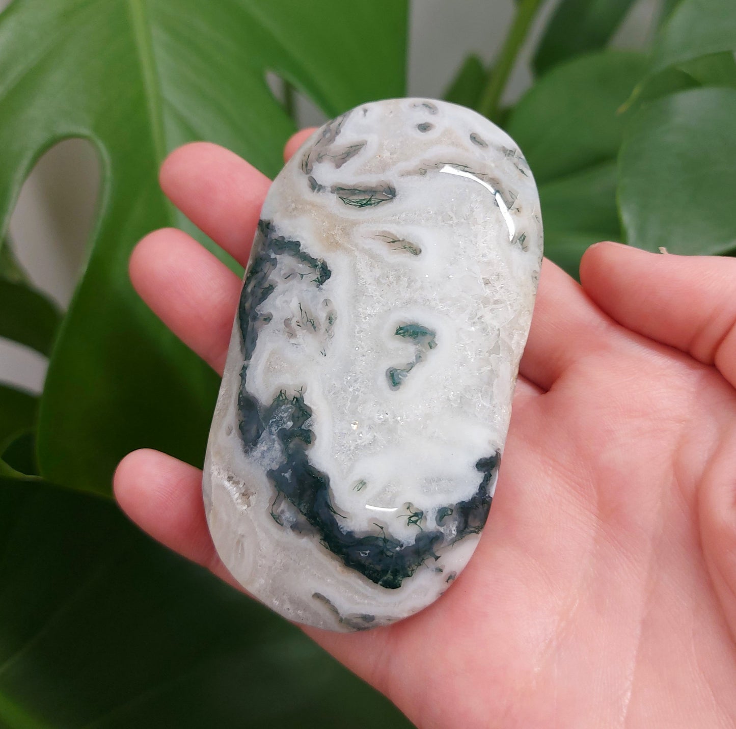 Moss Agate Palm Stone