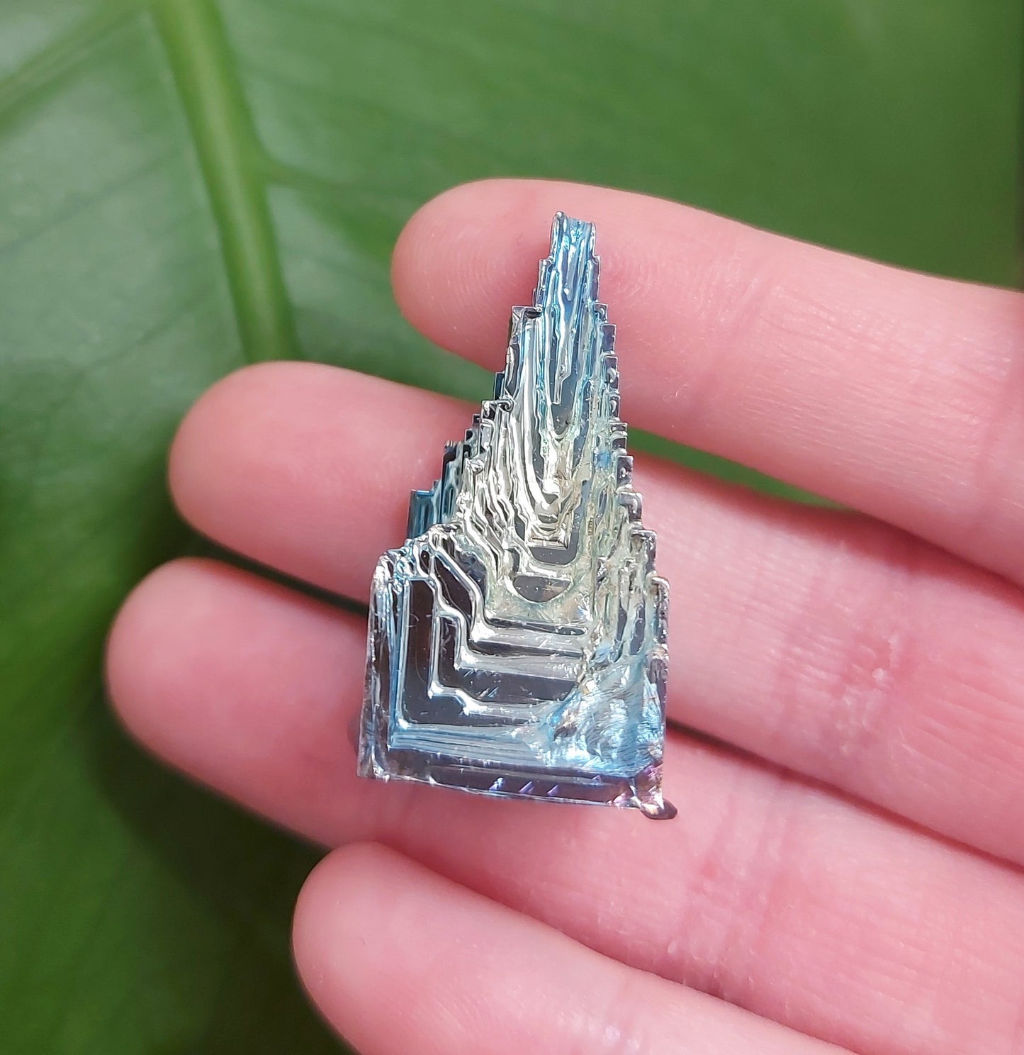 Bismuth
