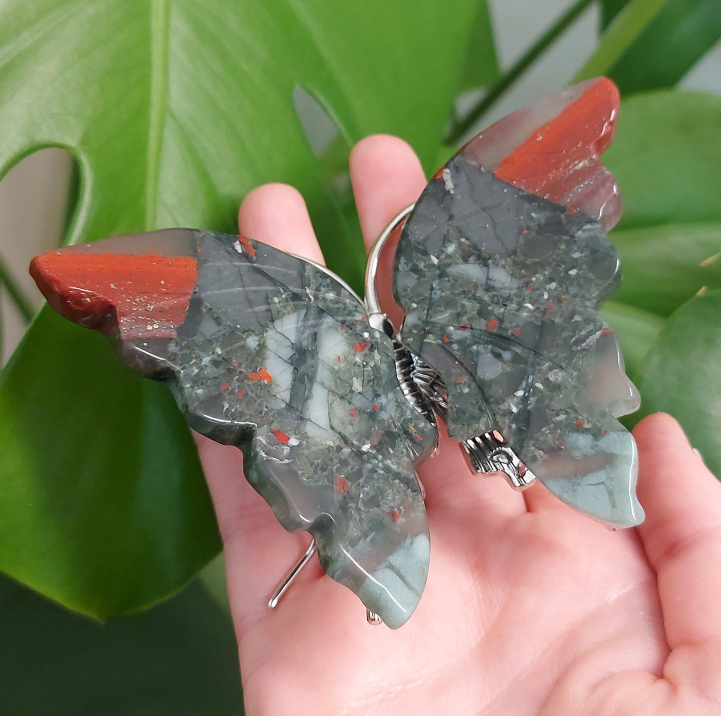Bloodstone Butterfly