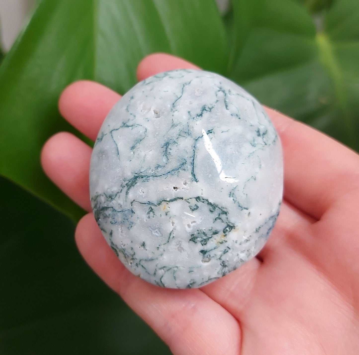 Moss Agate Palm Stone