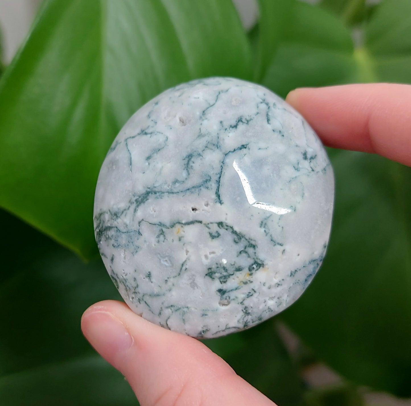 Moss Agate Palm Stone