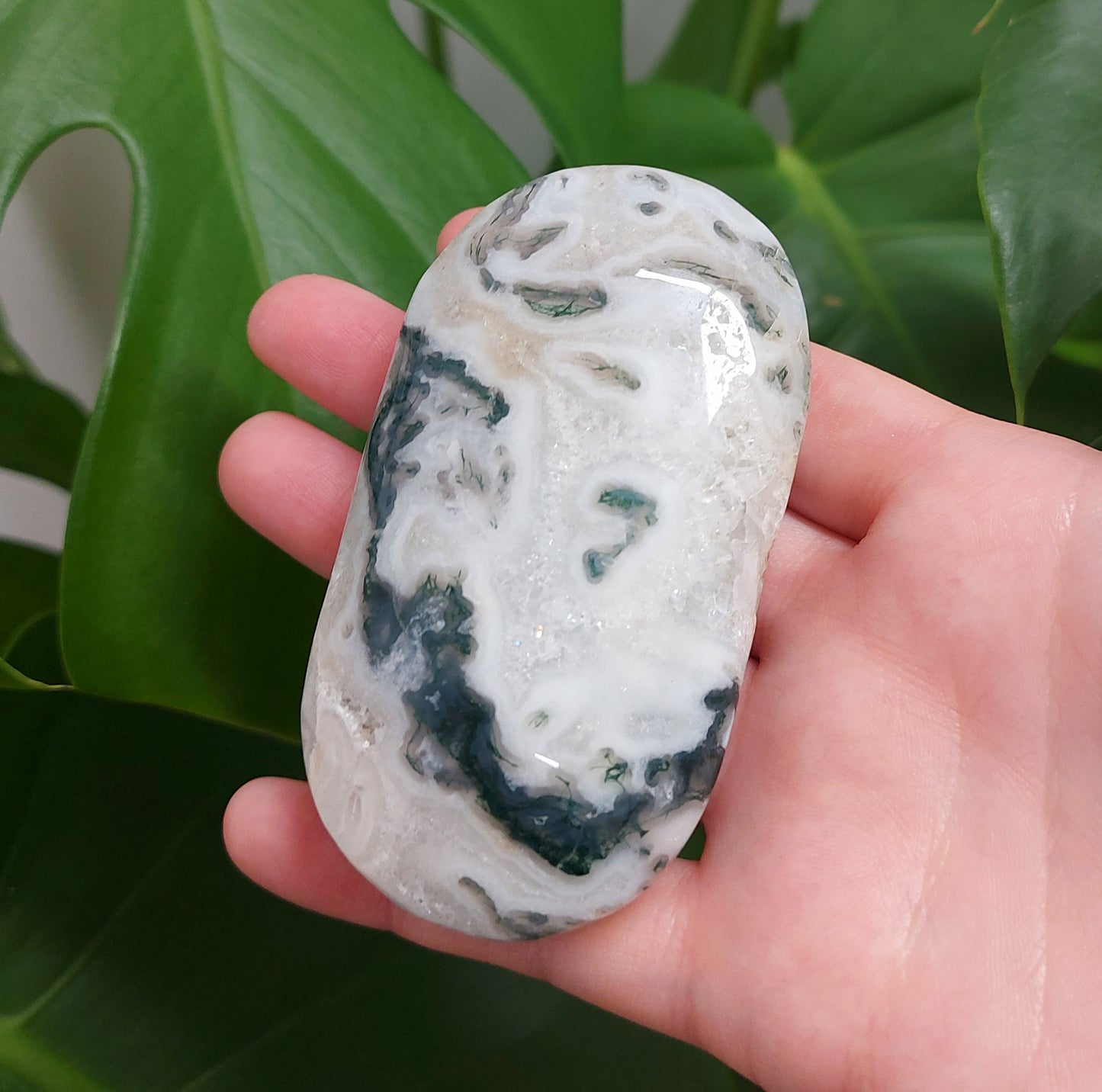 Moss Agate Palm Stone