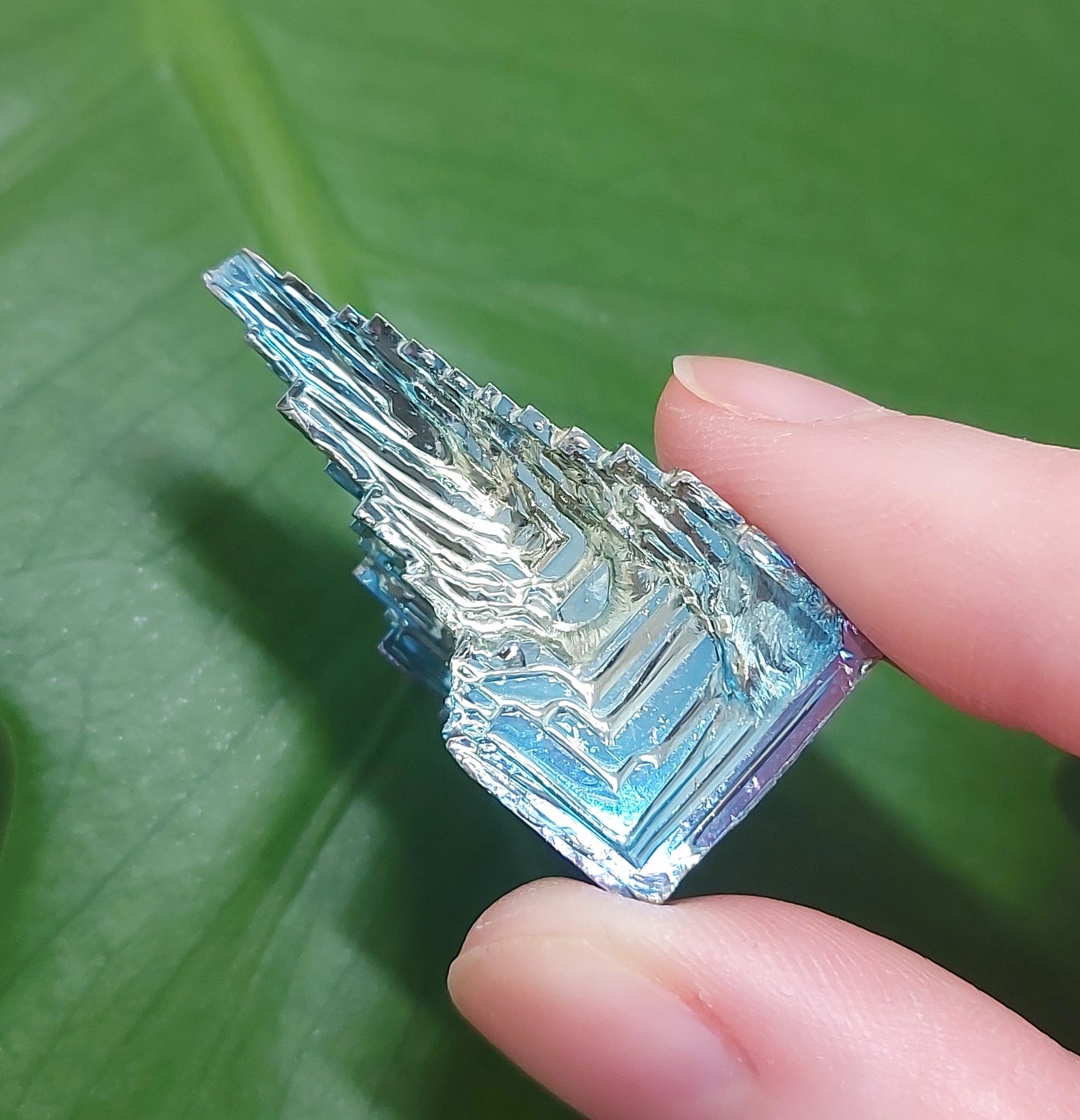 Bismuth