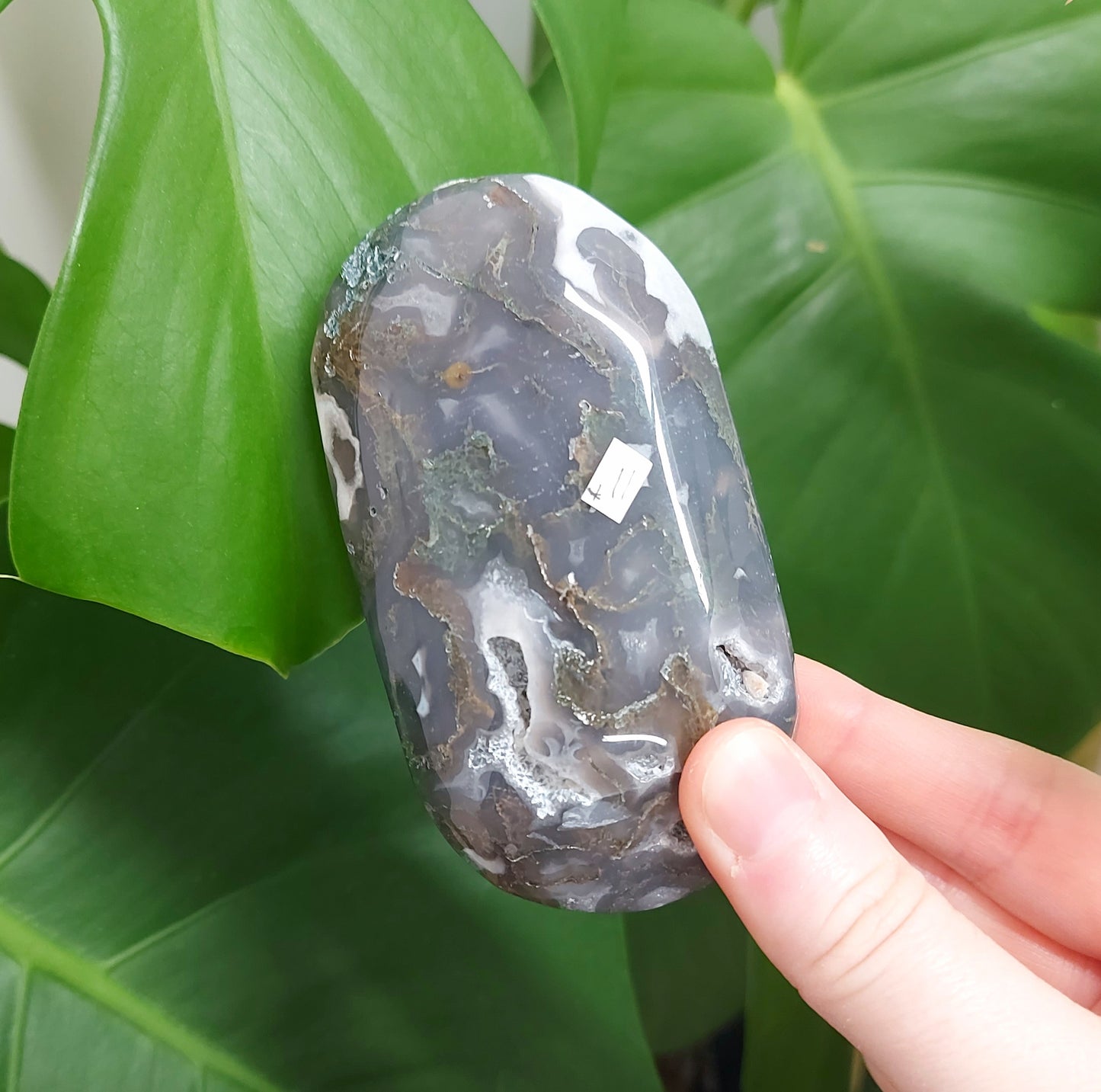 Moss Agate Palm Stone