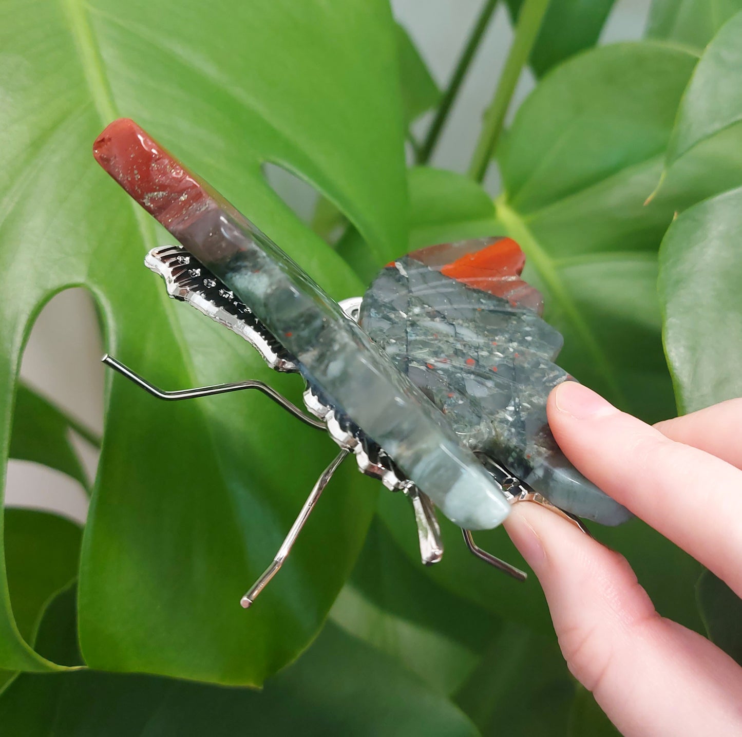 Bloodstone Butterfly