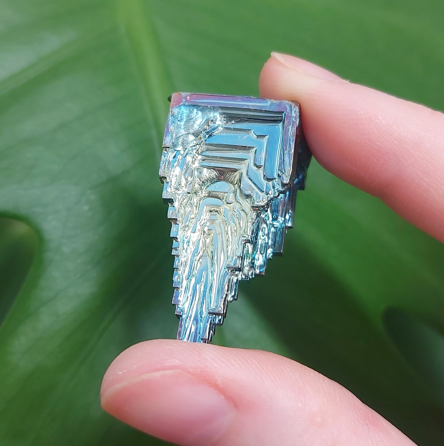 Bismuth