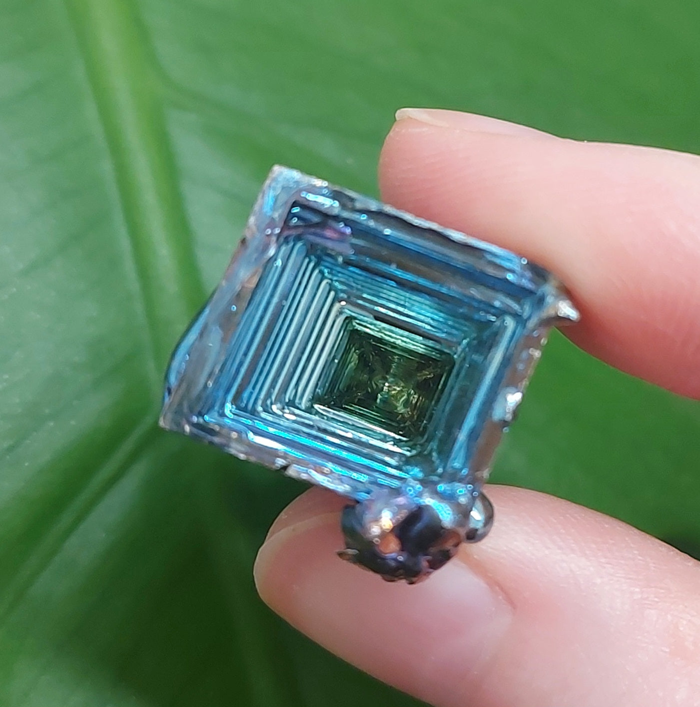 Bismuth