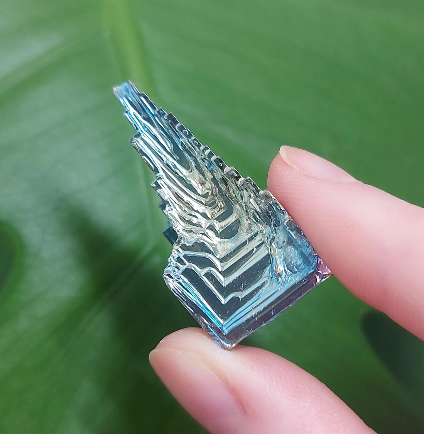 Bismuth