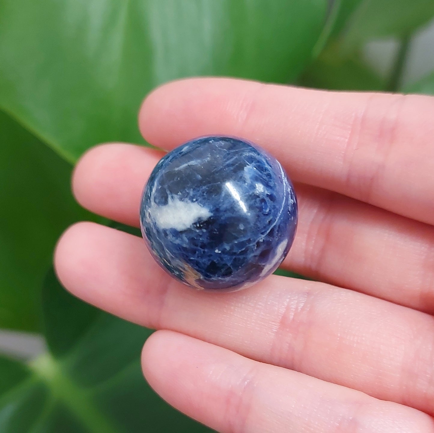 Sodalite Mini Sphere