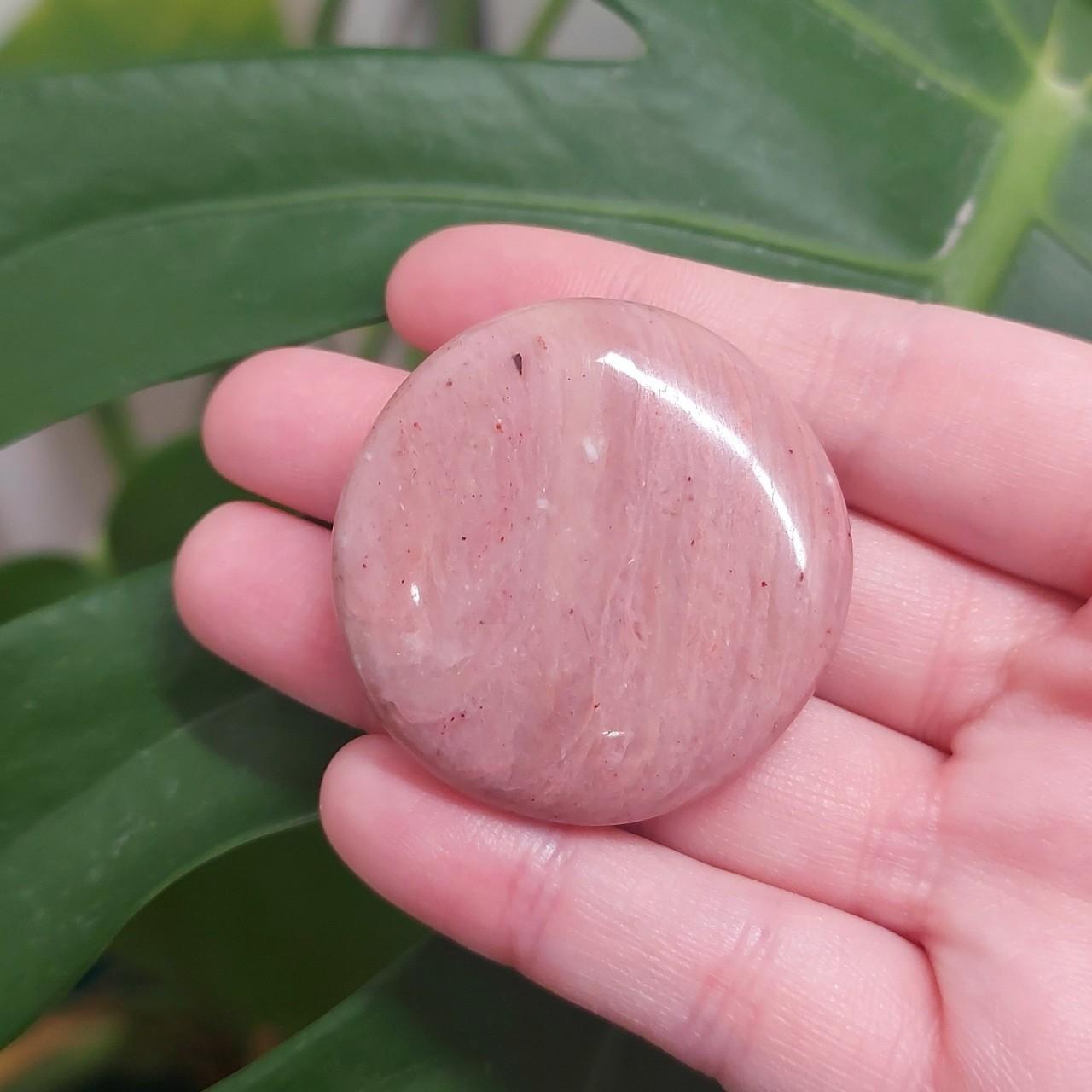 Pink Petrified Wood Flat Stone