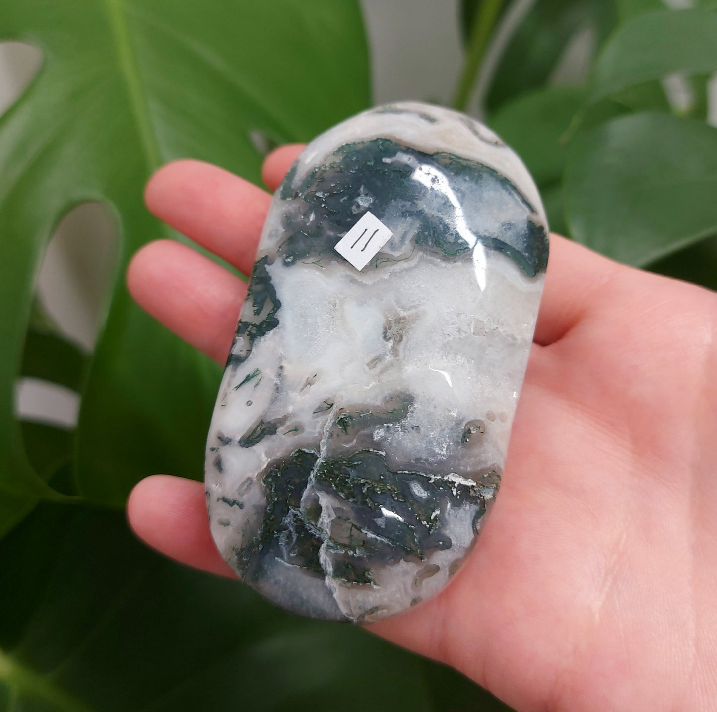 Moss Agate Palm Stone