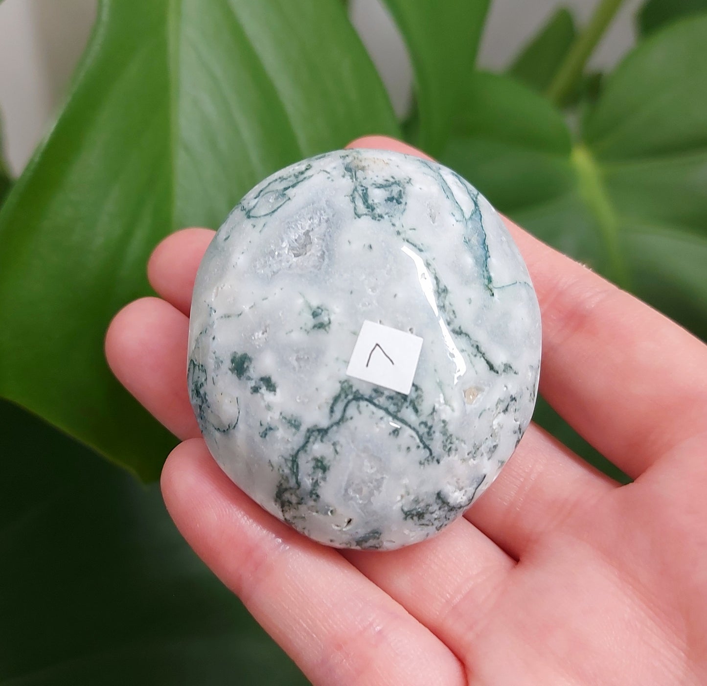 Moss Agate Palm Stone