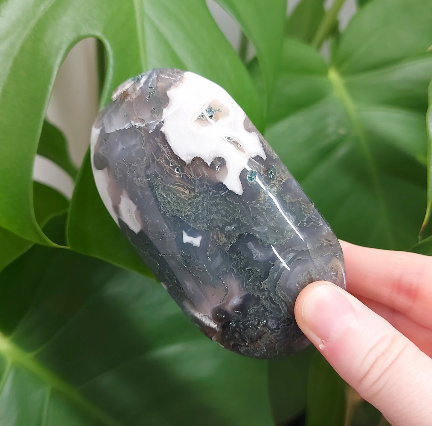 Moss Agate Palm Stone