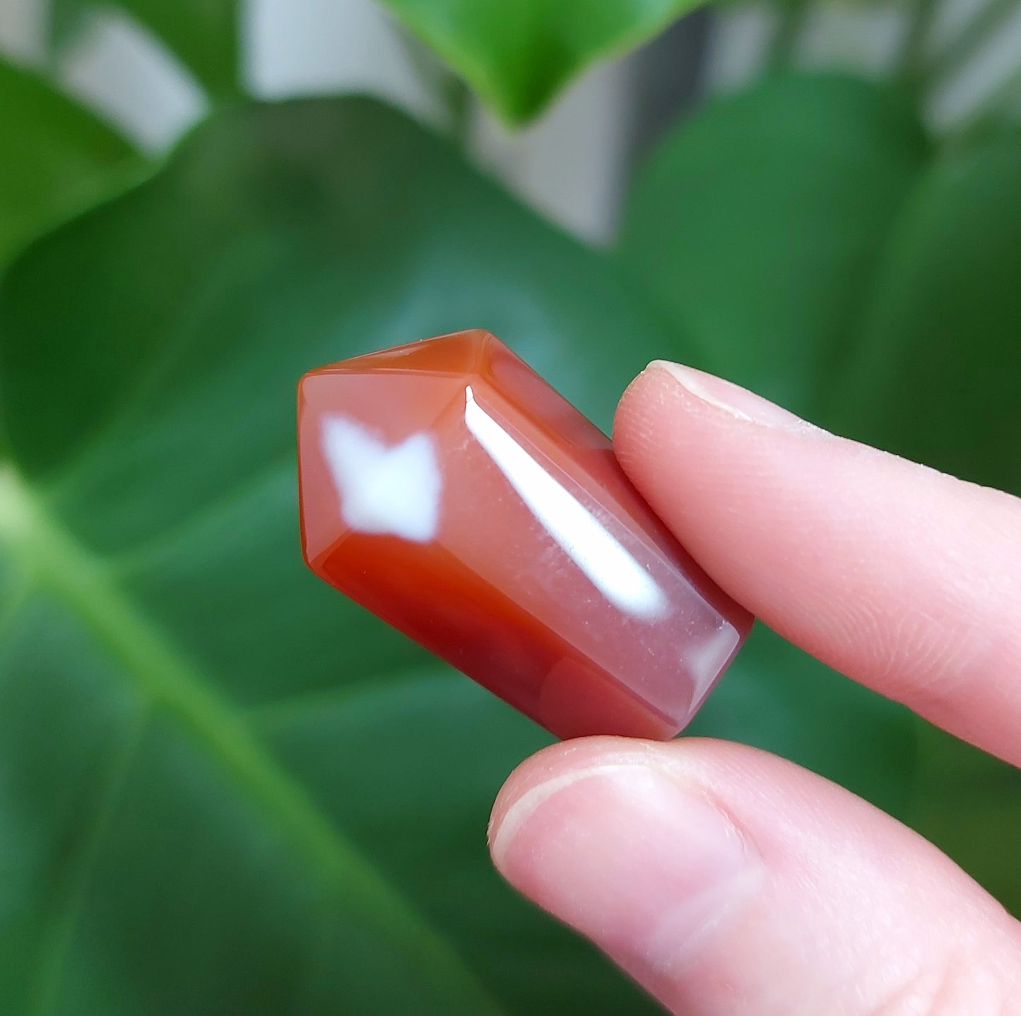 Carnelian Mini Tower - Intuitively picked