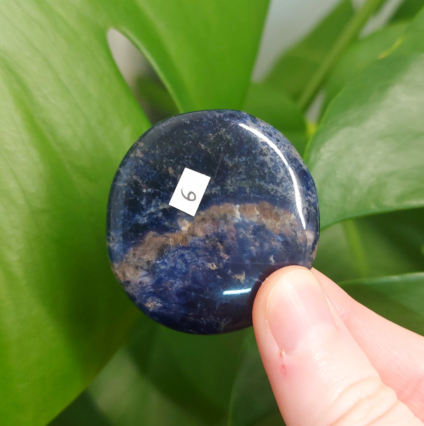 Sodalite Flat Stone