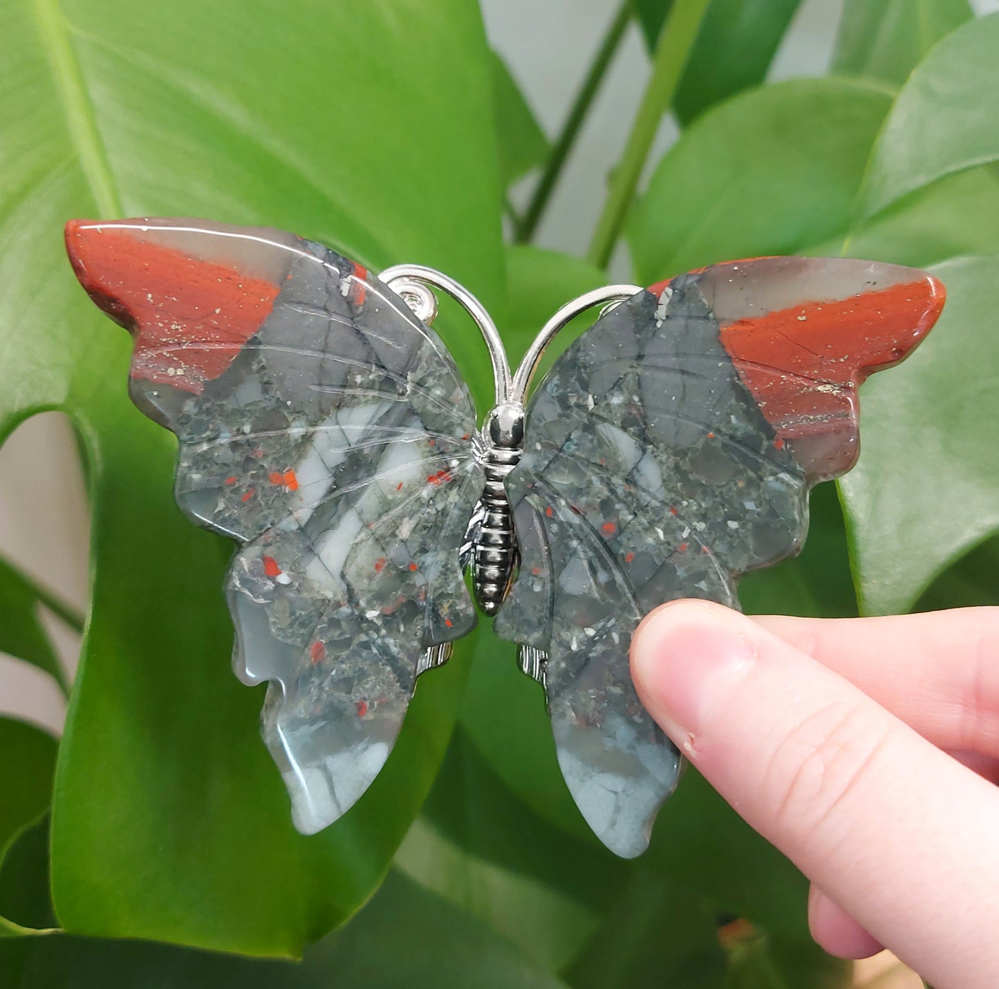 Bloodstone Butterfly