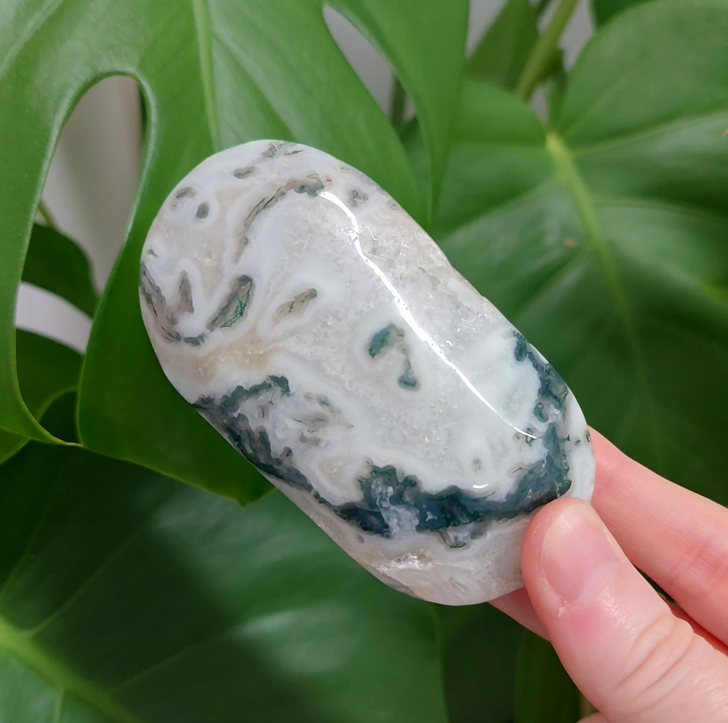 Moss Agate Palm Stone