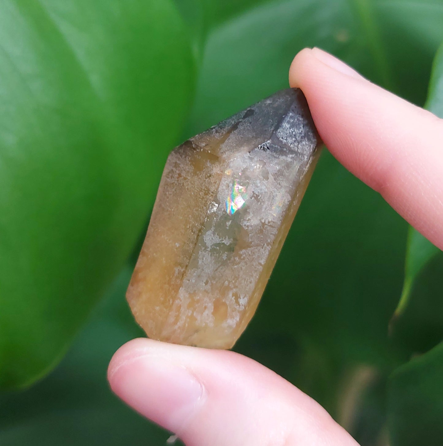 Citrine Raw Point