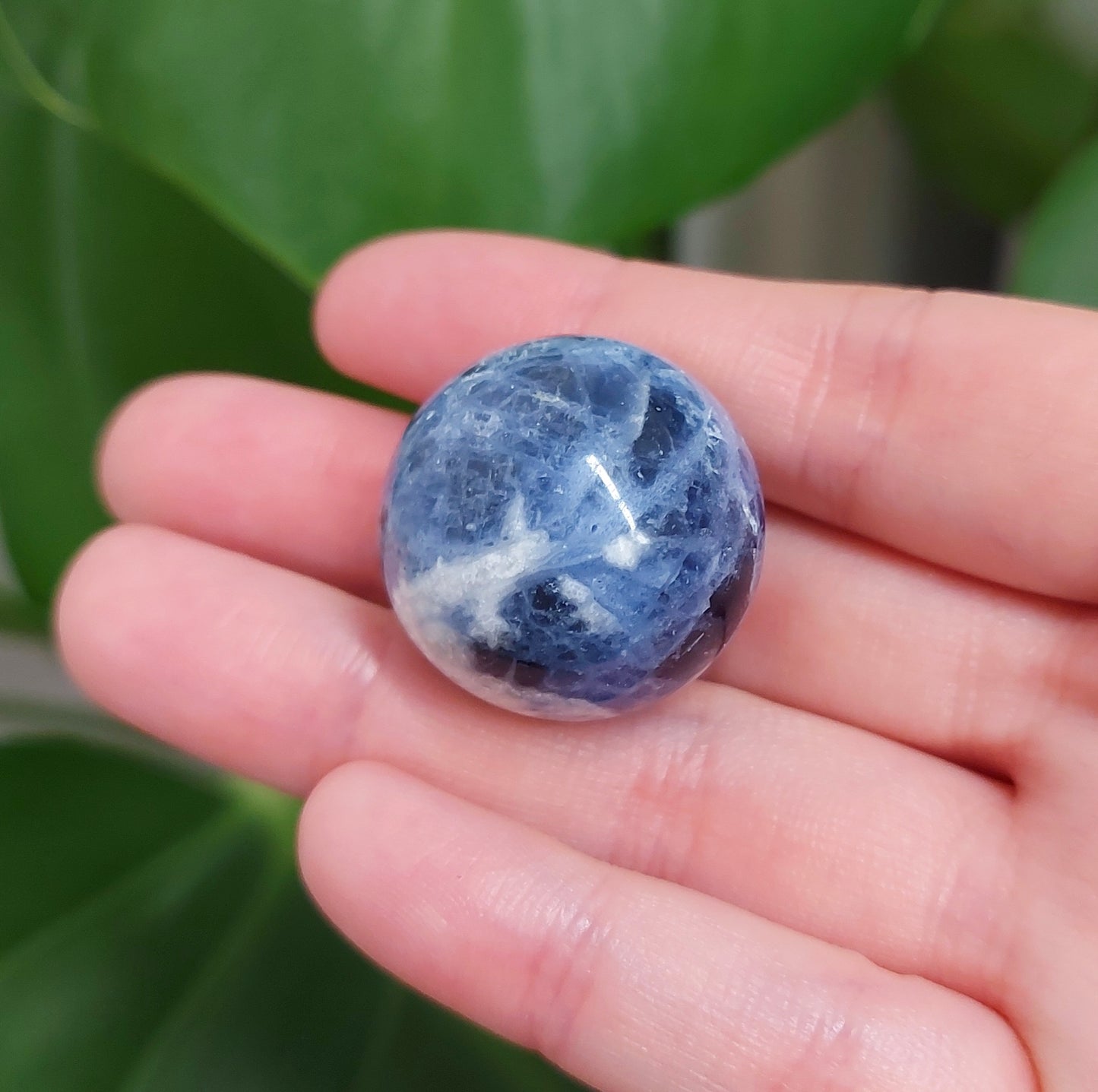 Sodalite Mini Sphere