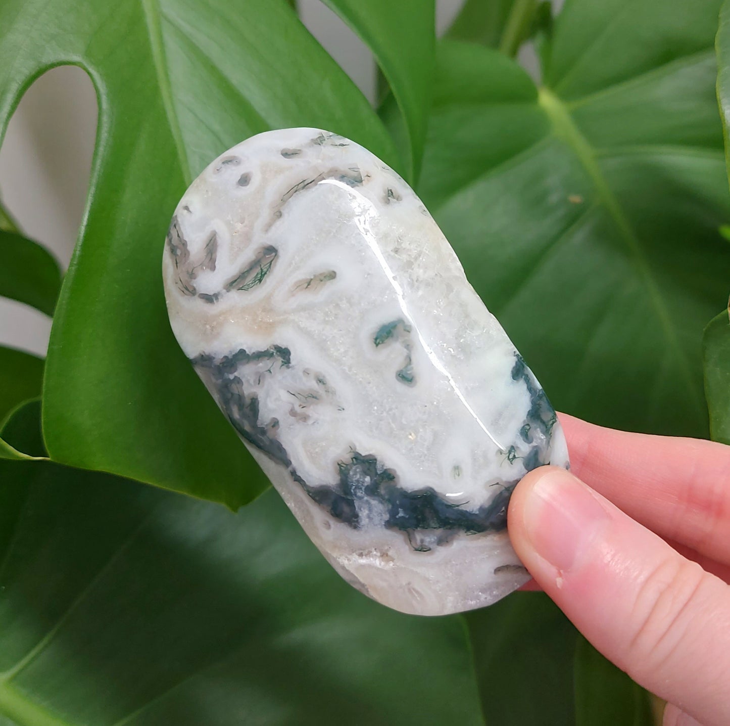 Moss Agate Palm Stone