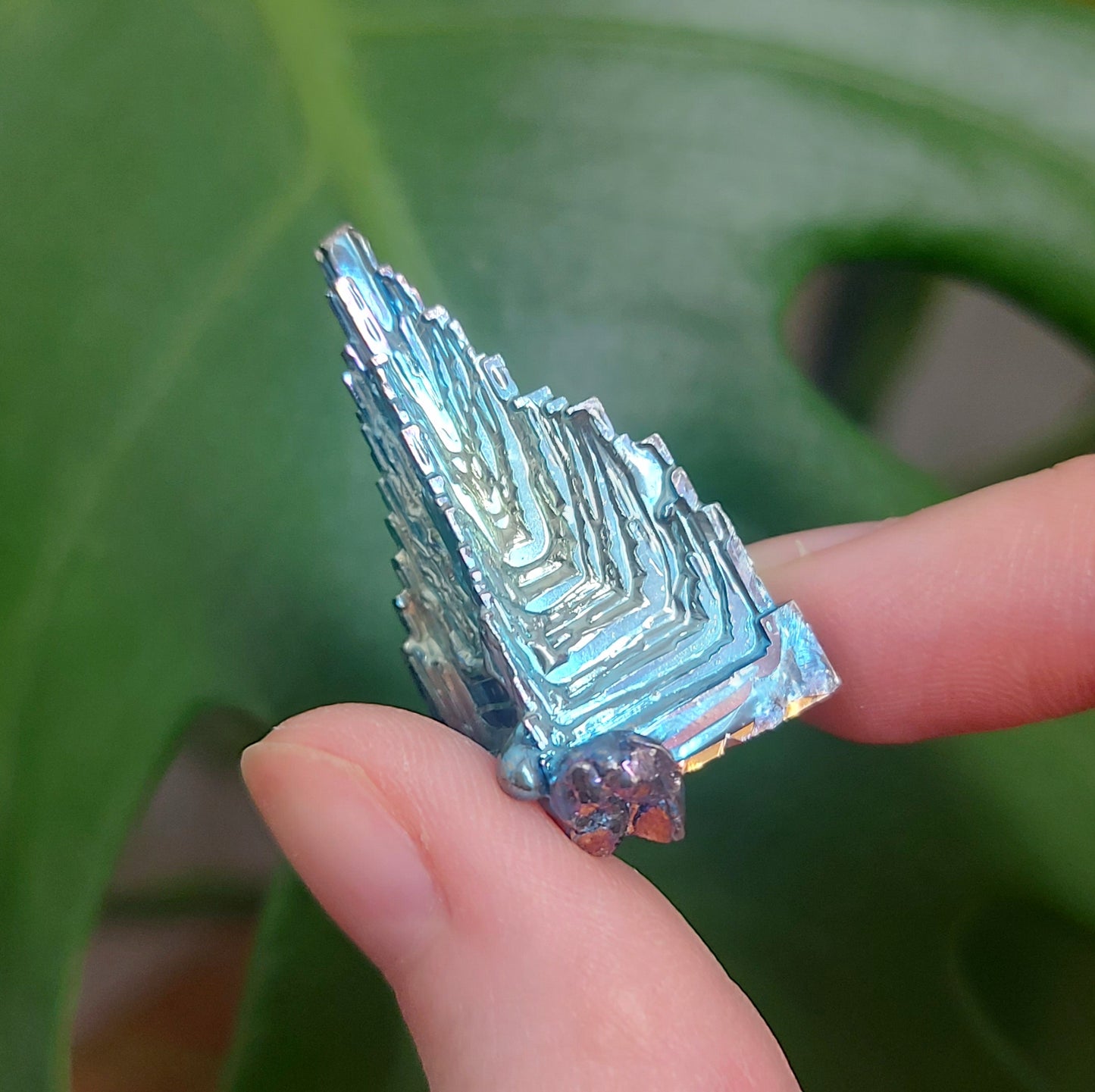 Bismuth