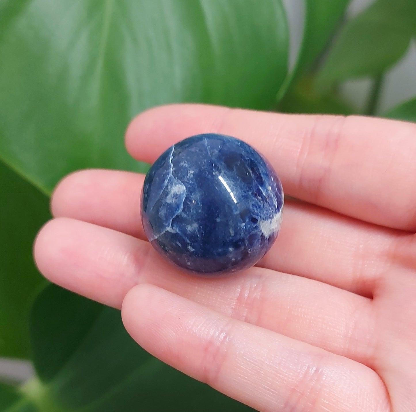 Sodalite Mini Sphere